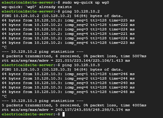 Ping from the server